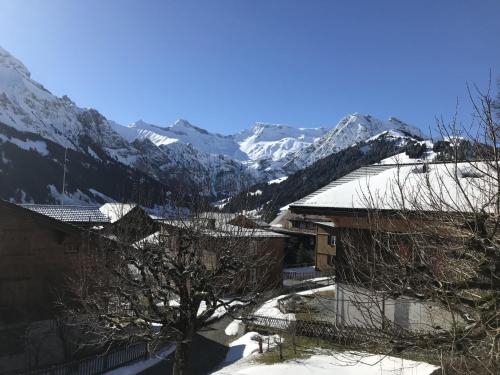Apartment Haldematt Appartement-Fewo- Bad- WC- 3 Schlafräume 4-Zimmerwohnung by Interhome