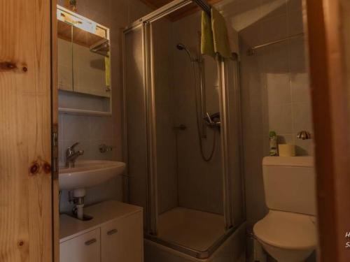Apartment Bergfink Appartement-Fewo 4-Bettwohnung Nr- 5 by Interhome