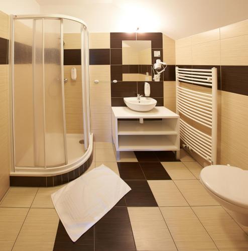 TršiceにあるHotel Horse Riding - Jezdecký Areál Tršiceのシャワー、洗面台、トイレ付きのバスルーム