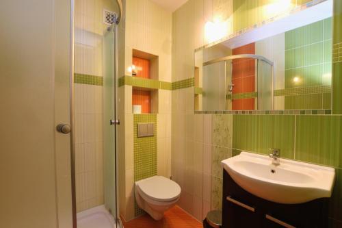 ウストロニエ・モルスキエにあるWilla Venusのバスルーム(洗面台、トイレ、シャワー付)