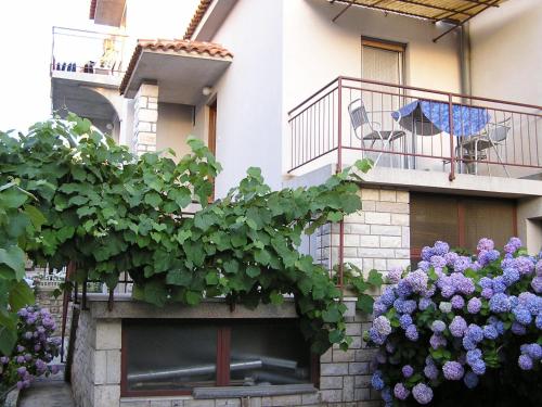 Apartment Vintage Apartment A2 Fragola - HR-11059-02 by Interhome