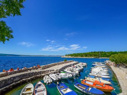 Apartment AZALEA 1 - HR-05634-01 by Interhome