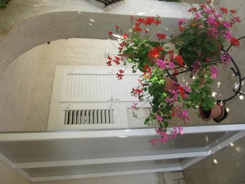 Apartment MILETIC prizemlje 1 - HR-10011-04 by Interhome