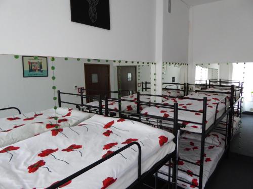 Gallery image of FlyFly Hostel , darmowy parking , rezerwuj przez urządzenia mobilne -10 procent in Wrocław