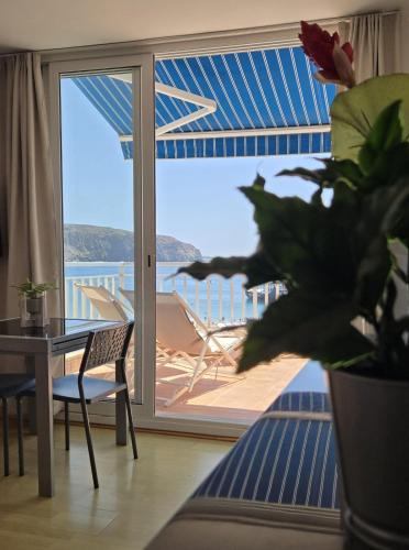 Penthouse Horizon première ligne de mer grande terrasse et vue panoramique sur l'océan
