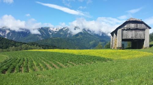 an old barn in a field with mountains in the background at Apartmaji Pr-Gujlu Sela nad Podmelcem 5220 TOLMIN in Podmelec