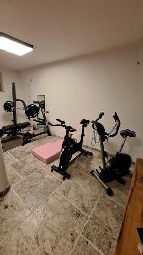 Altholz Chalet mit Garten und Fitnessraum in Söll