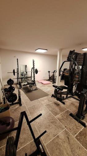 Altholz Chalet mit Garten und Fitnessraum in Söll
