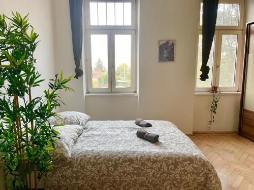 Long-Term Central Apartment near Metro