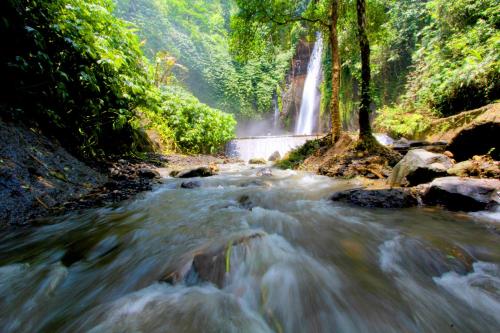 Gallery image of Melanting Cottages in Munduk