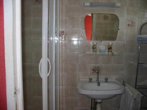 a bathroom with a sink and a shower at Auberge du Meygal in Champclause
