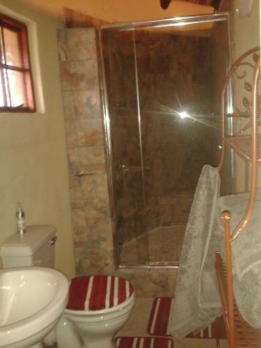 a bathroom with a shower and a toilet and a sink at Blackbrook Farm Underberg in Underberg