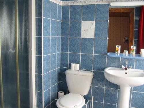 a blue tiled bathroom with a toilet and a sink at Auberge du Meygal in Champclause