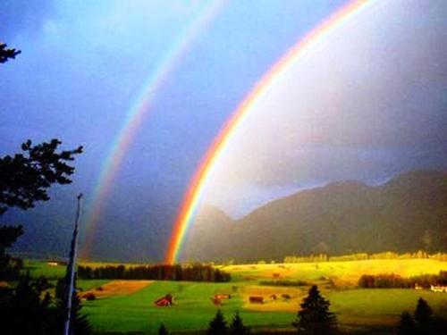 a rainbow in the sky over a field with cows at Bäckeralm© - B&B 16 + in Mittenwald