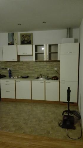 eine große Küche mit weißen Schränken und einem Waschbecken in der Unterkunft HALEX 4 in Bojná