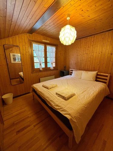 Cosy Alpine Chalet Near MorzineAvoriaz Sleeps 6