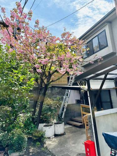 桜見Sakurami-Sakura View Guesthouse toji temple 3 bedrooms