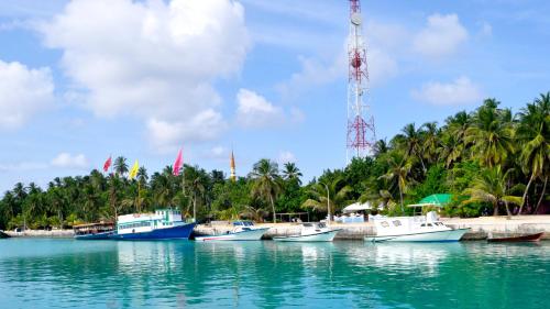 a group of boats docked in a body of water at Coco Villa in Thoddoo