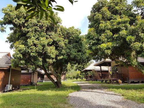 Un jardín fuera de Phutawan Pundao