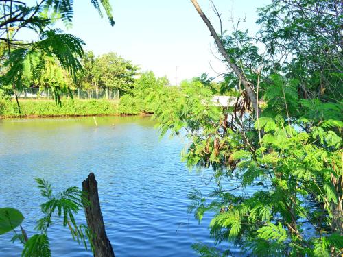 a view of a river with trees in the foreground at Villa Gaetano Unawatuna in Unawatuna