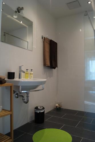 La salle de bains est pourvue d'un lavabo et d'une douche. dans l'établissement Weingut Hans Bausch, à Hattenheim
