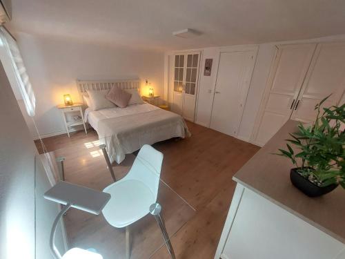 Urban Serenity Apartment