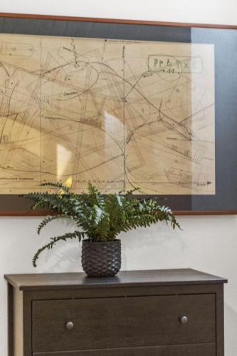 Central Spacious Basement Apartment