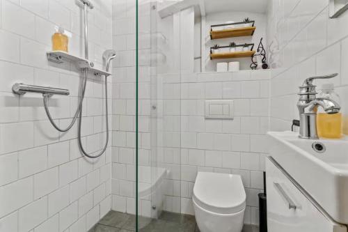 Central Spacious Basement Apartment