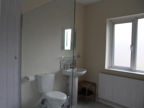 La salle de bains est pourvue de toilettes et d'un lavabo. dans l'établissement Castell Cottages, à Caerphilly
