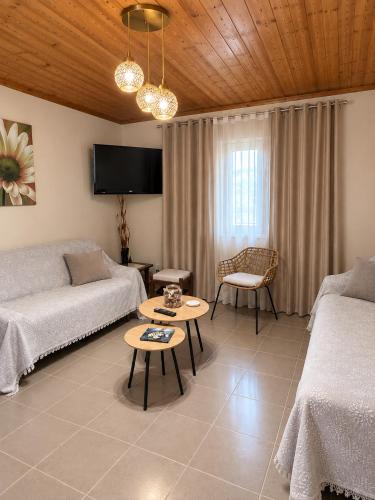 Olive holiday home