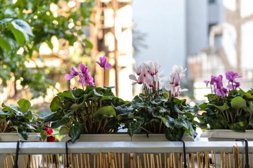 City center studio apartment