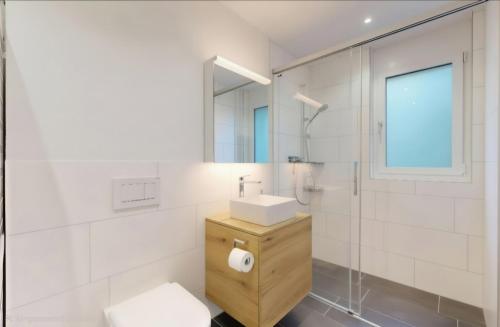WEF Apartment in the Heart of Davos