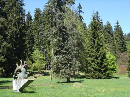 a statue in a field with trees in the background at Apartman Forstamt Glatzen Kladska in Mariánské Lázně