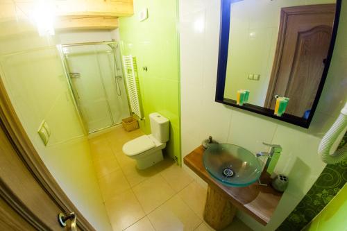 a bathroom with a sink and a toilet and a mirror at Balcon del Pirineo Rural Ordesa in Buesa