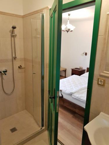 a bathroom with a shower and a bed at Pincesor Apartman in Villánykövesd