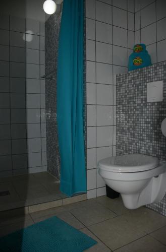 a bathroom with a toilet and a blue shower curtain at Casa di Mario in Kralendijk