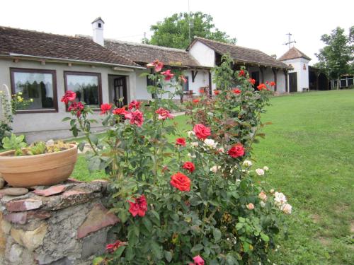 Κήπος έξω από το Guest House Vila Albedo