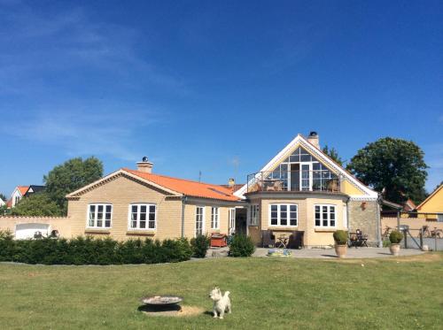 a cat sitting in the grass in front of a house at Langø Overnatning in Langø