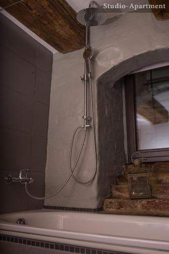 a shower in a bathroom with a bath tub at "Schwarzer Speicher" Stralsund in Stralsund