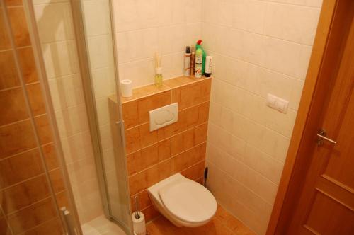 a small bathroom with a toilet and a shower at Apartmán Špičák Sruby in Špičák