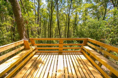 a wooden bridge in the middle of a forest at Bosque Vivo in Recinto