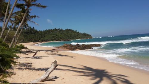 a beach with palm trees and the ocean at IMAGINE Villa Hotel in Mirissa