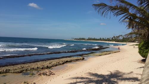a beach with a palm tree and the ocean at IMAGINE Villa Hotel in Mirissa