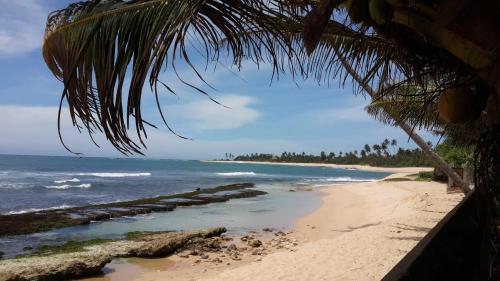 a beach with a palm tree and the ocean at IMAGINE Villa Hotel in Mirissa
