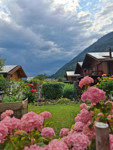 Aare and mountains near Interlaken