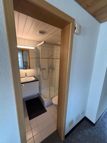 Chalet Amaryllis - Jungfrau View Apartment