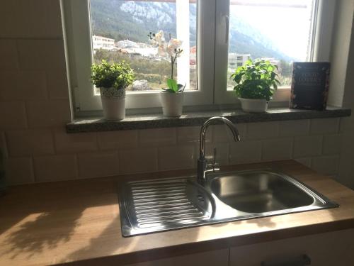 d'un évier de cuisine avec des plantes en pot sur une fenêtre. dans l'établissement Apartments Aman, à Makarska