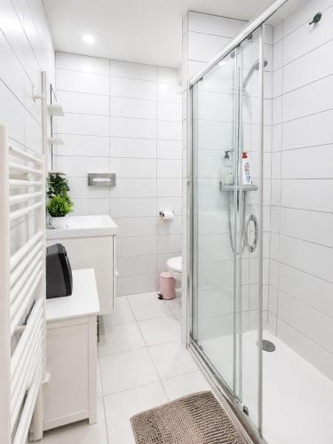 Croisette, studio with garden, air conditioning