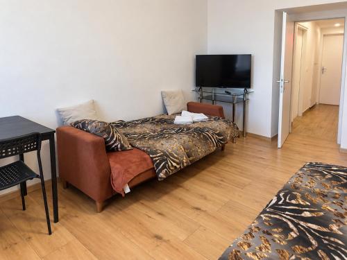 1BR Apartment, 3 Min Enkplatz, 9 Min City Center