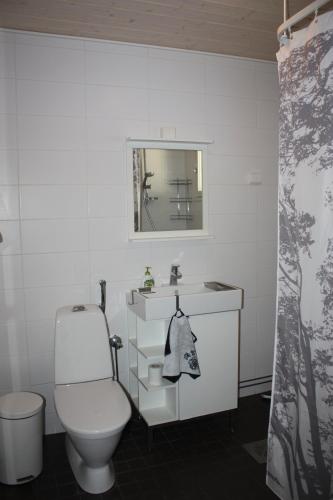 ein Badezimmer mit Toilette, Waschbecken und Spiegel in der Unterkunft Kuurala apartment in Rovaniemi
